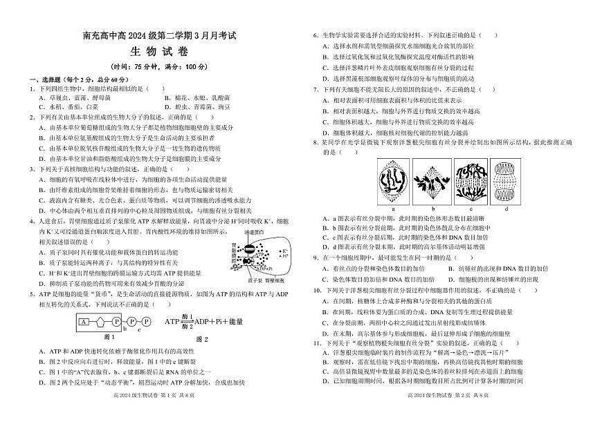 四川省南充市高级中学2024-2025学年高一下学期3月月考试题生物试卷（无答案）第1页