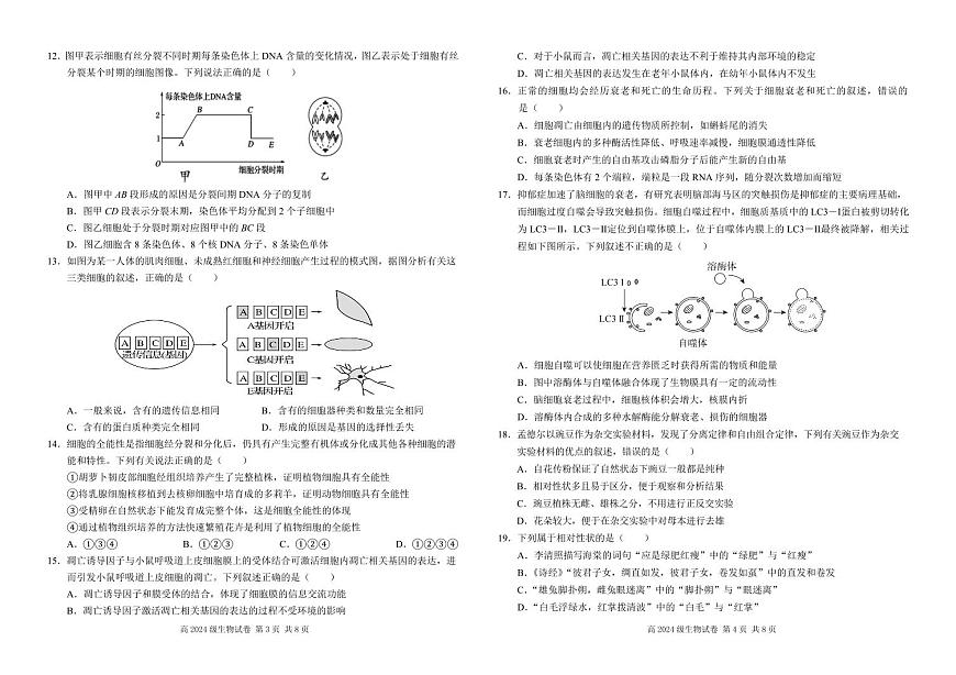 四川省南充市高级中学2024-2025学年高一下学期3月月考试题生物试卷（无答案）第2页
