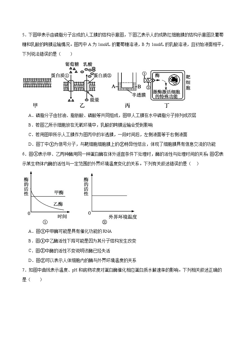 河南省郑州外国语学校2025-2026学年高一上学期12月月考试题 生物（含答案）第2页