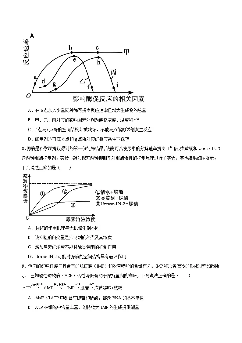 河南省郑州外国语学校2025-2026学年高一上学期12月月考试题 生物（含答案）第3页