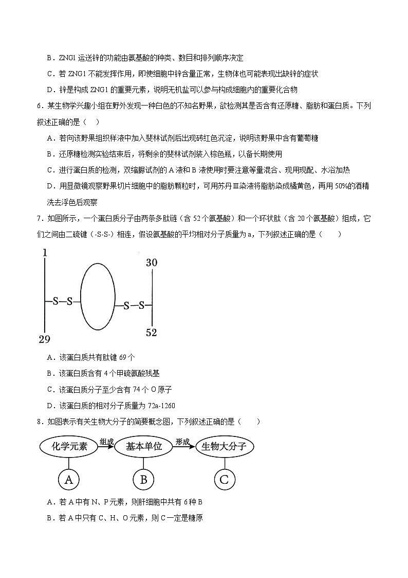 河南省部分重点高中2025-2026学年高一上学期12月联考试题 生物（含答案）第2页