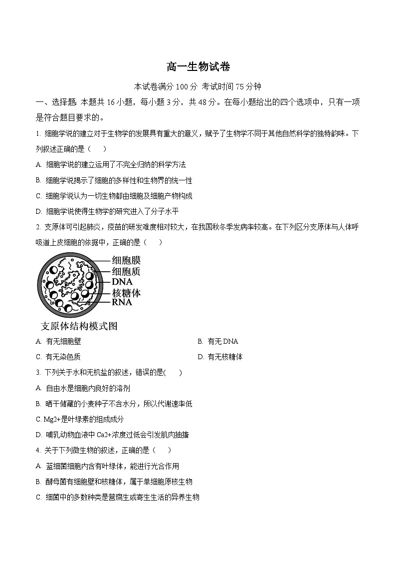 河南省名校联考2025-2026学年高一上学期11月期中考试 生物（含答案）第1页