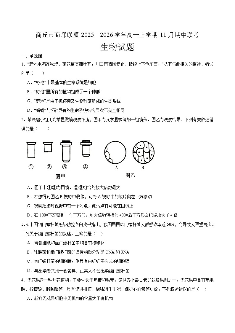 河南省商丘市商师联盟2025-2026学年高一上学期期中联考 生物试卷（含答案）第1页