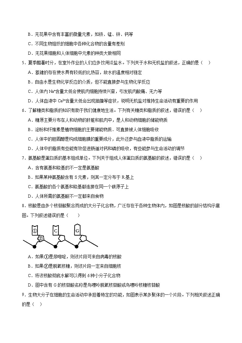 河南省商丘市商师联盟2025-2026学年高一上学期期中联考 生物试卷（含答案）第2页