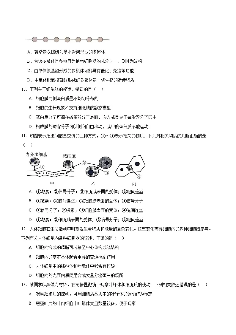 河南省商丘市商师联盟2025-2026学年高一上学期期中联考 生物试卷（含答案）第3页
