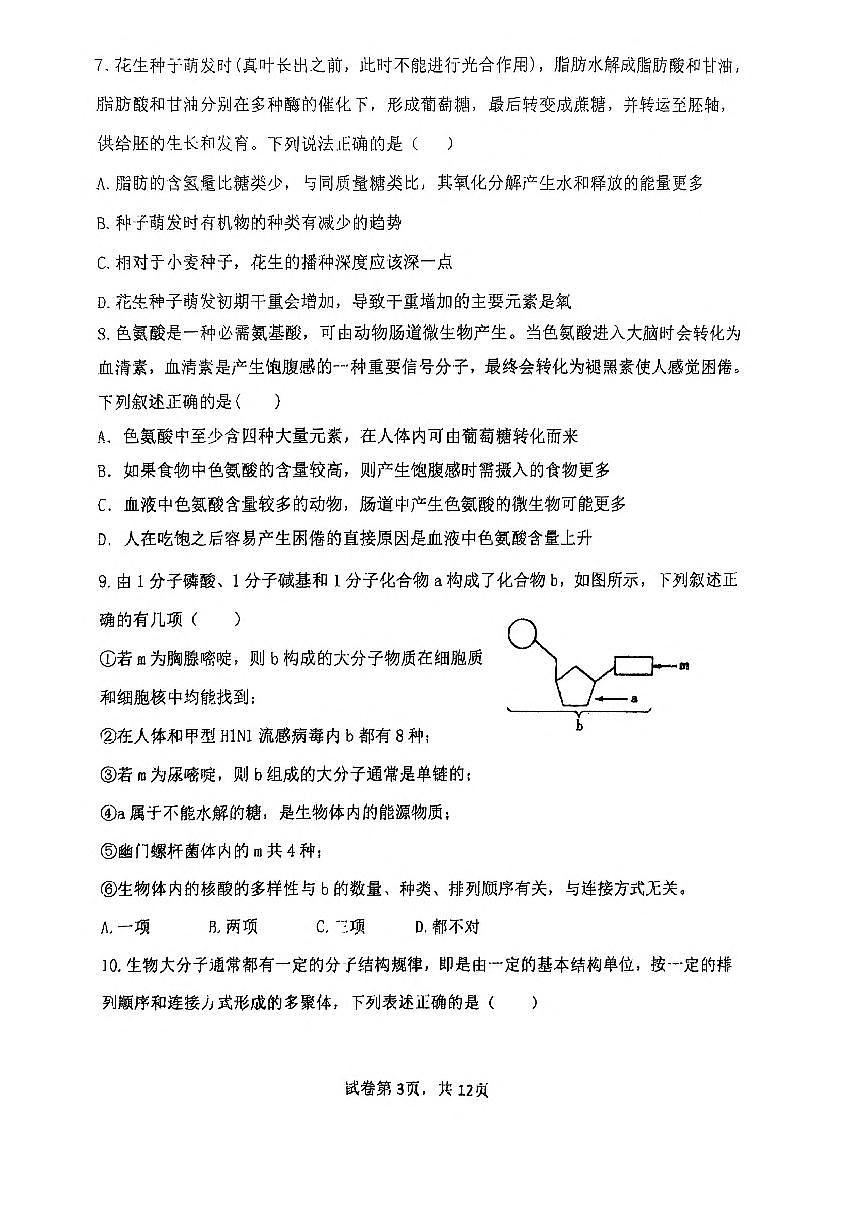 河南省郑州外国语2025-2026学年高一上学期11月期中考试 生物（无答案）第3页