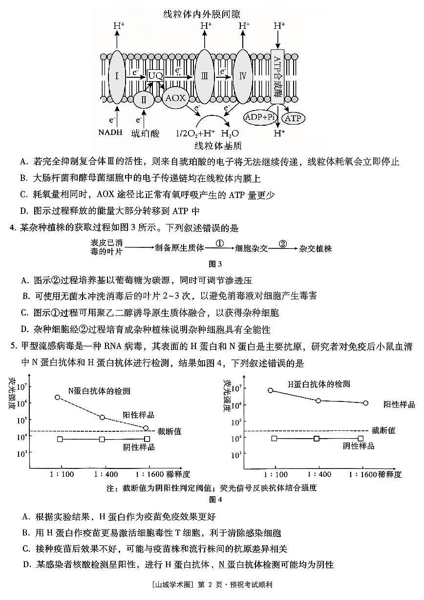 重庆市第八中学2026届高三上学期高考适应性月考卷（五）生物试卷+答案第2页