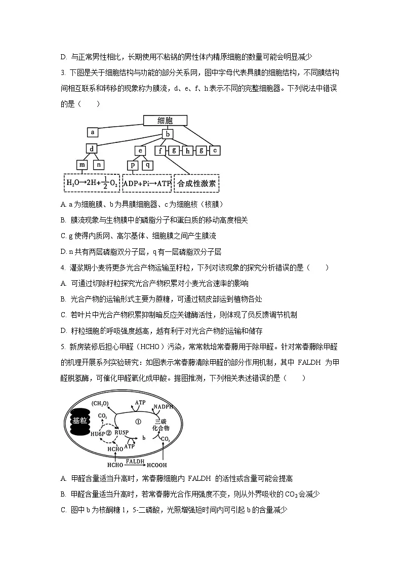 2026届重庆市高三上第五次质量检测生物试卷（学生版）第2页