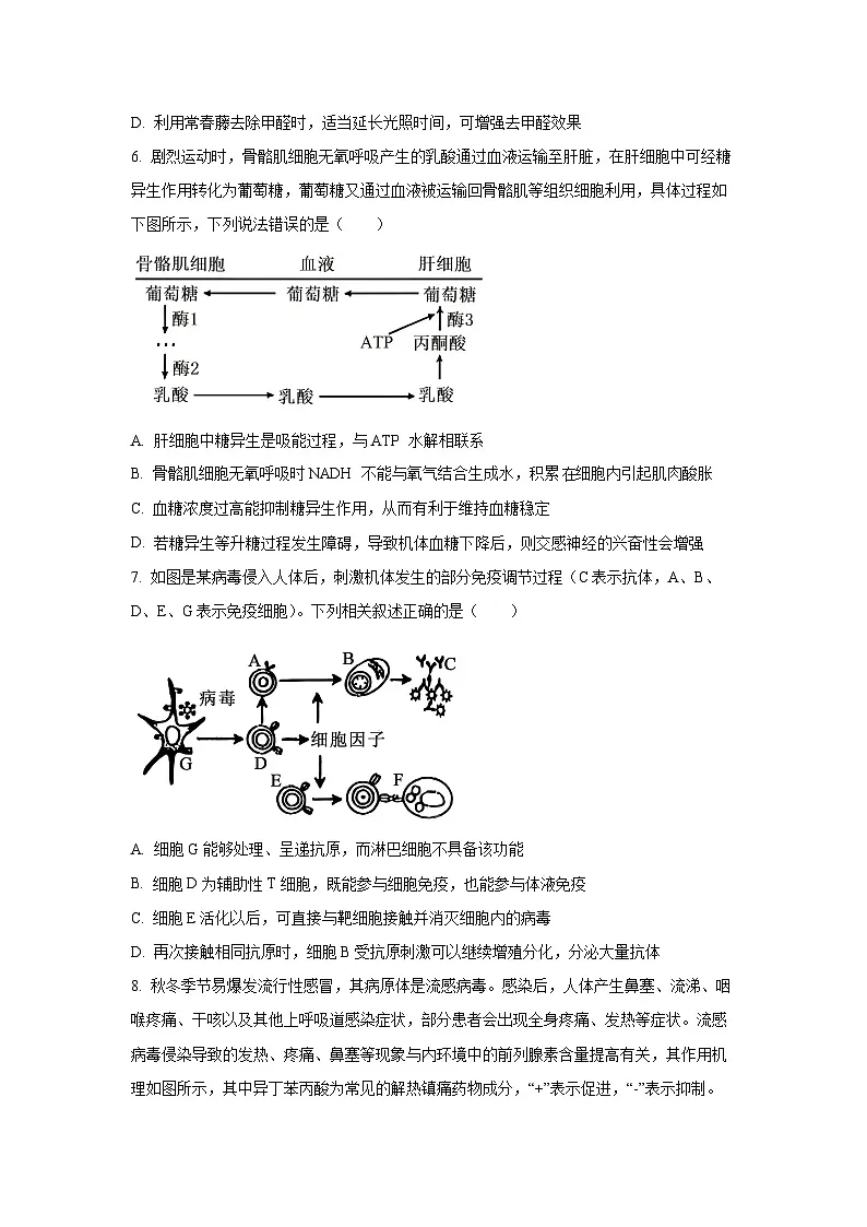 2026届重庆市高三上第五次质量检测生物试卷（学生版）第3页
