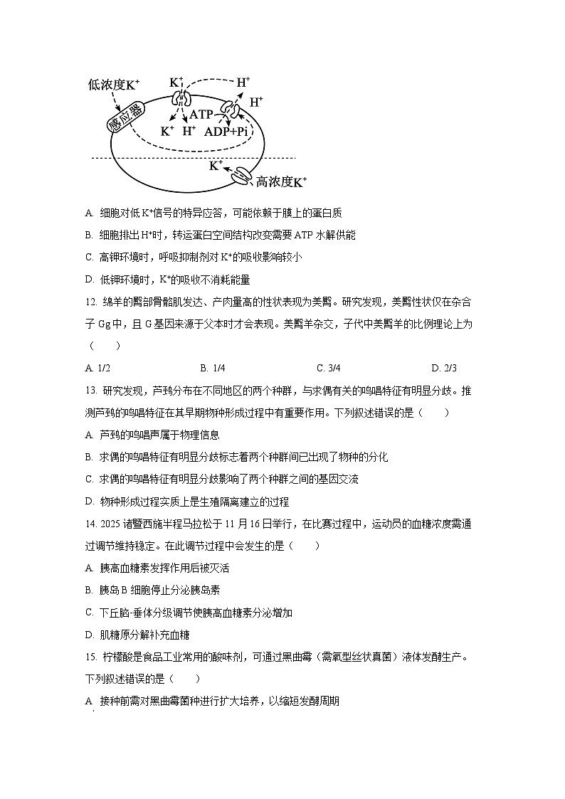 2026届浙江省绍兴市高三上学期12月一模生物试卷（学生版）第3页