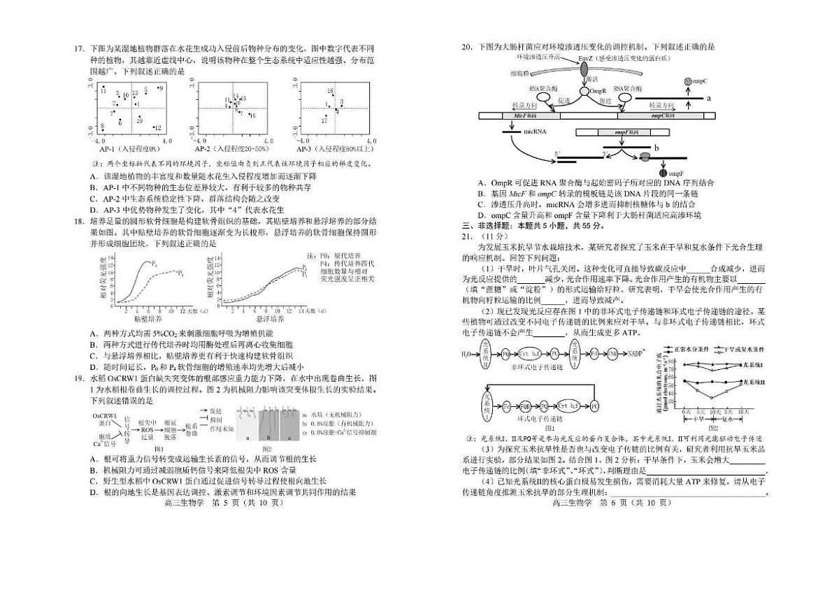 2026年沈阳市高三上学期1月教学质量监测（一）生物试卷+答案第3页