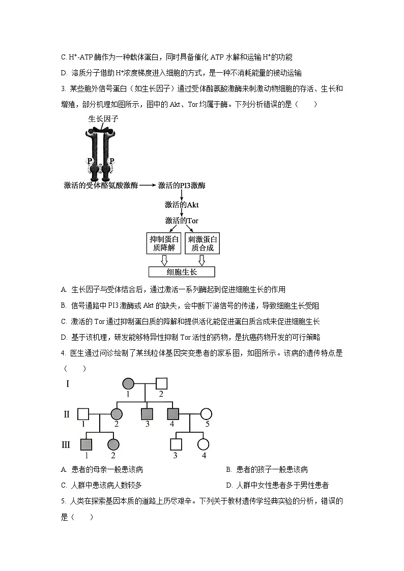 2025-2026学年河北省名校联考高三上学期12月月考生物试卷（学生版）第2页