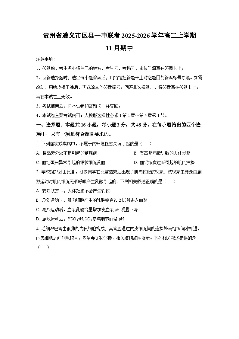 2025-2026学年贵州省遵义市区县一中联考高二上学期11月期中生物试卷（学生版）第1页
