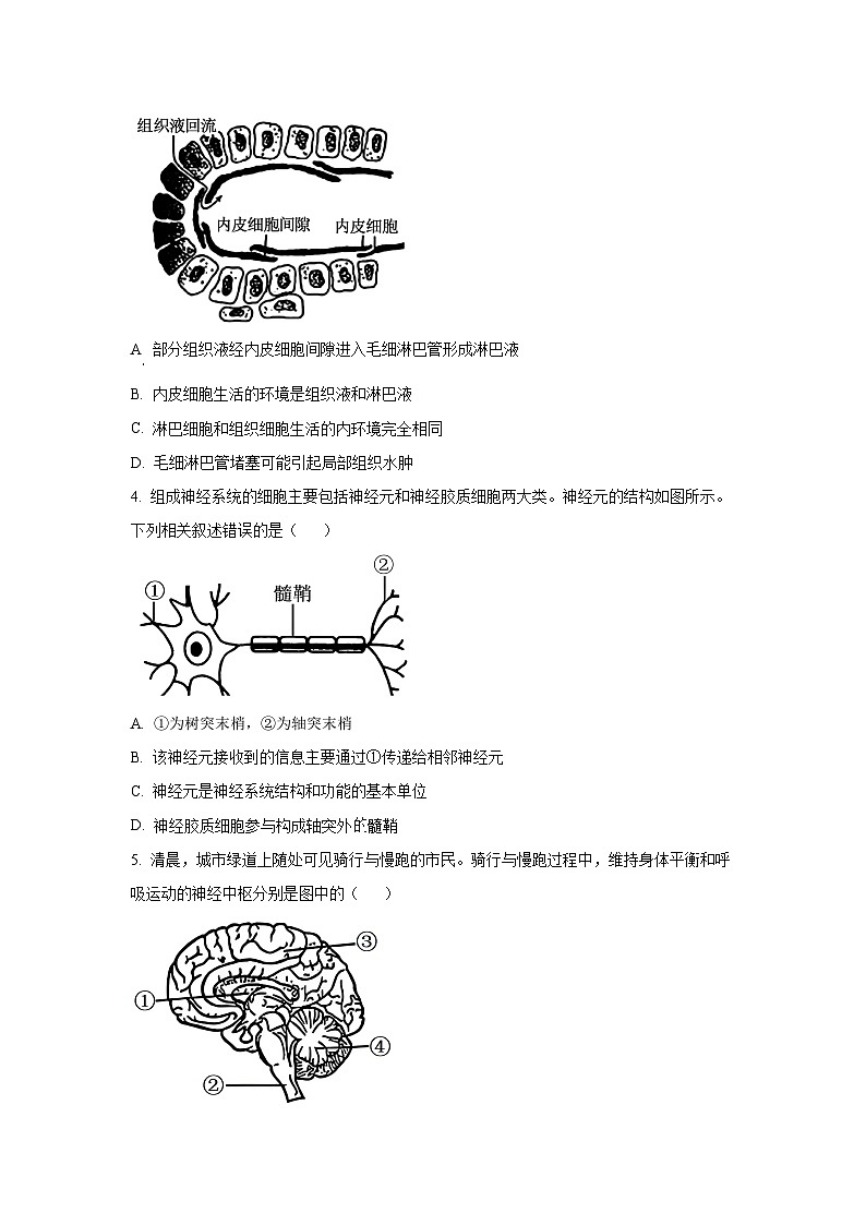 2025-2026学年贵州省遵义市区县一中联考高二上学期11月期中生物试卷（学生版）第2页
