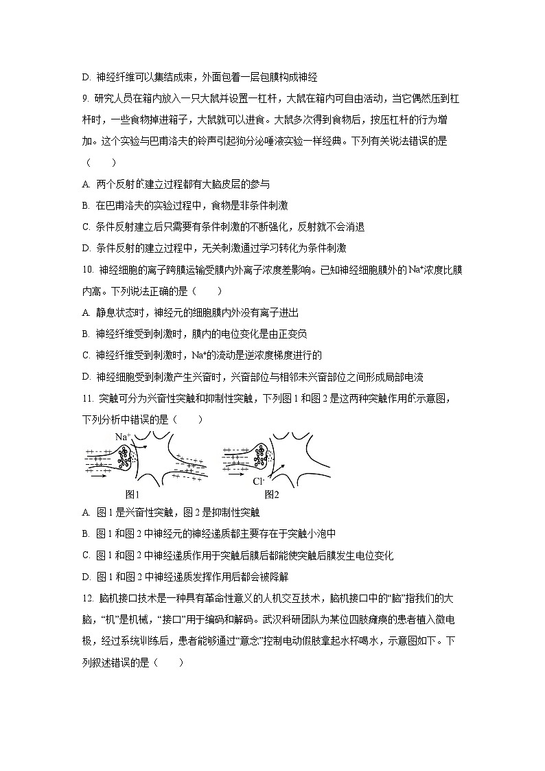 2025-2026学年湖北省黄冈市部分高中高二上学期期中考试生物试卷（学生版）第3页