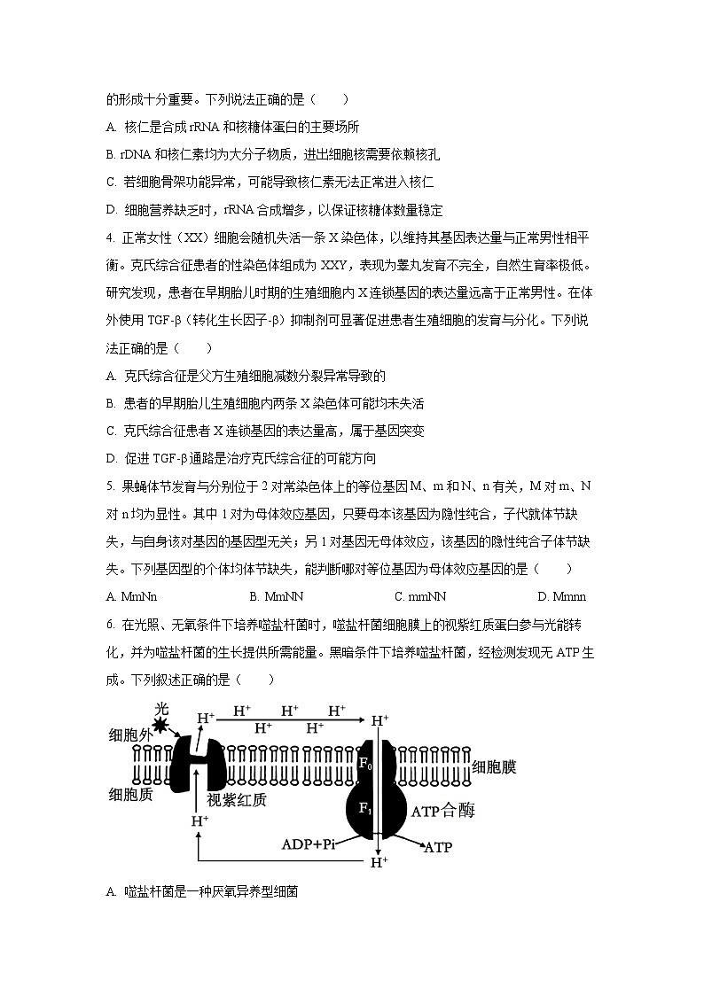 2025-2026学年湖北省云学联盟高三上学期12月月考生物试卷（学生版）第2页