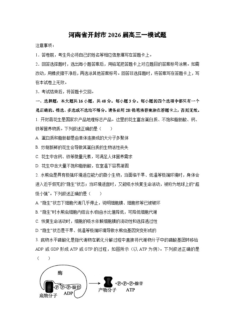 2026届河南省开封市高三一模生物试卷（学生版）第1页