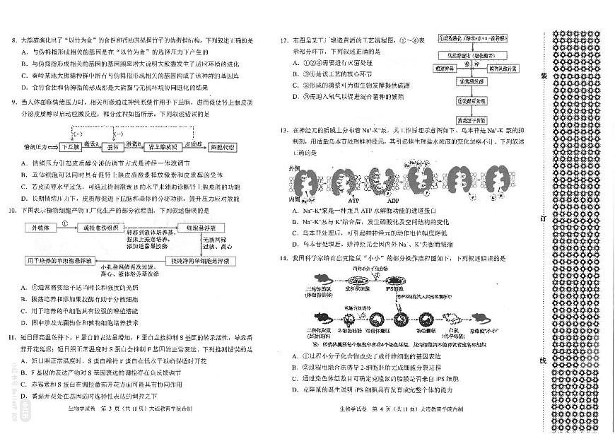 2026年大连市高三双基高考模拟考试生物试卷+答案第2页
