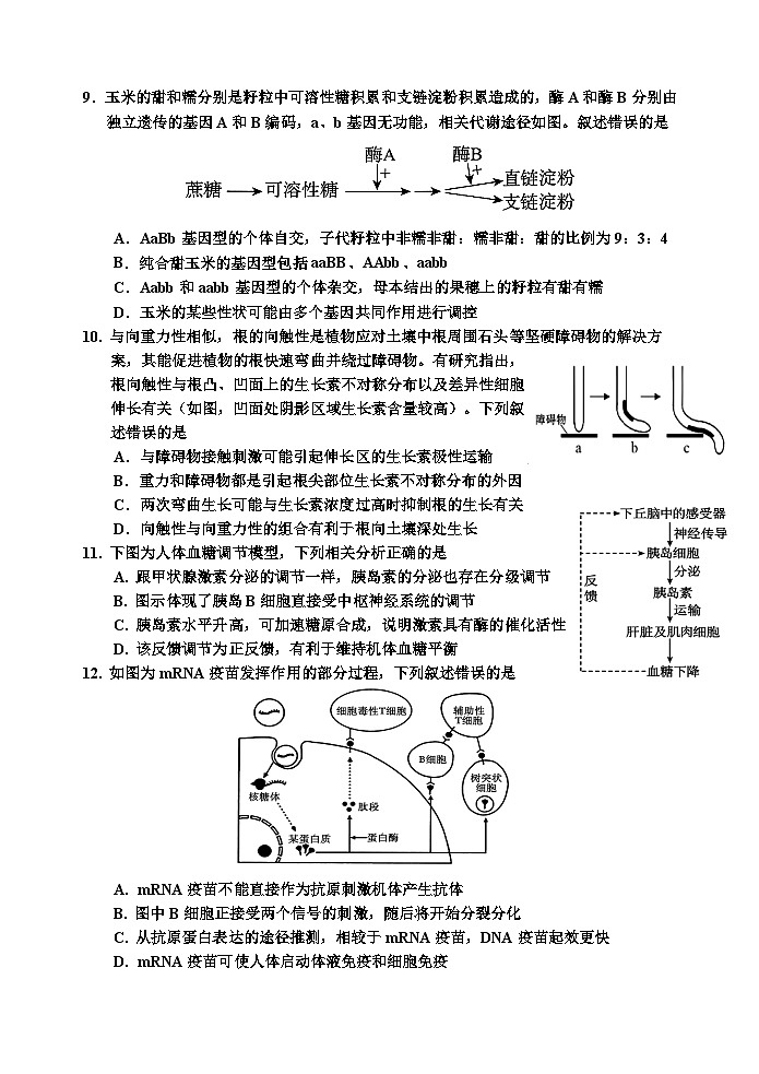 2026-1 生物二模初稿6(1)第3页