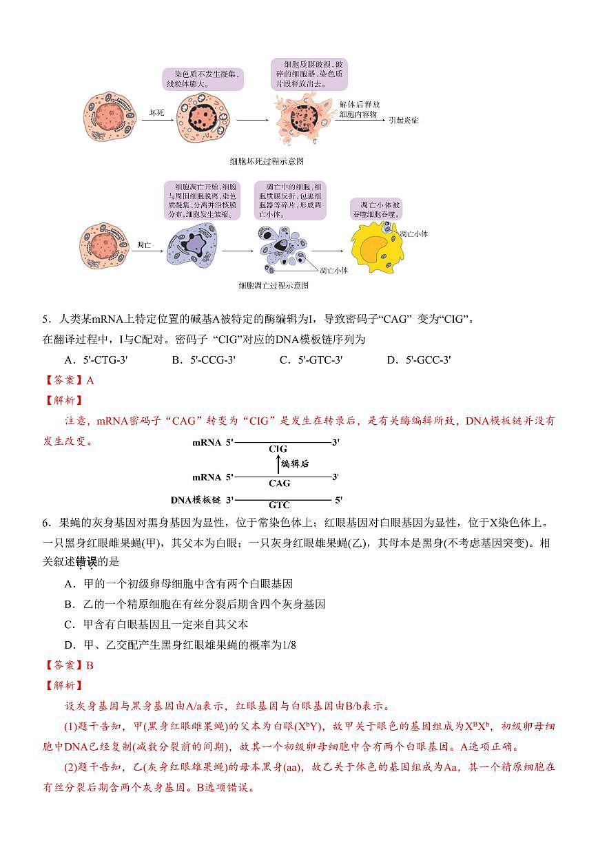 安徽省合肥一中2025-2026学年高三上学期1月考试 生物答案第3页