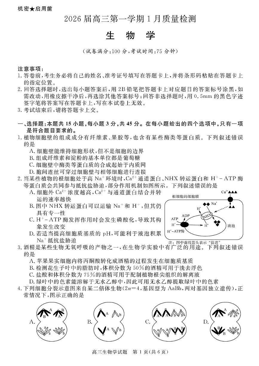 安徽省华师联盟2025-2026学年高三上学期1月质量检测生物试卷+答案第1页
