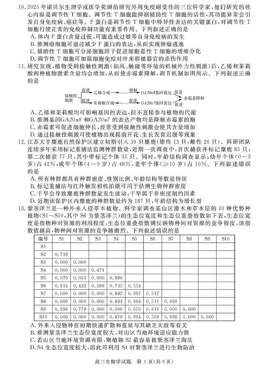 安徽省华师联盟2025-2026学年高三上学期1月质量检测生物试卷+答案第3页