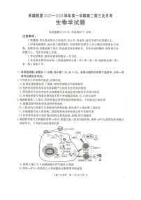 河北省邢台市卓越联盟2025-2026学年高二上学期1月月考生物试题（PDF版，含解析）含答案解析