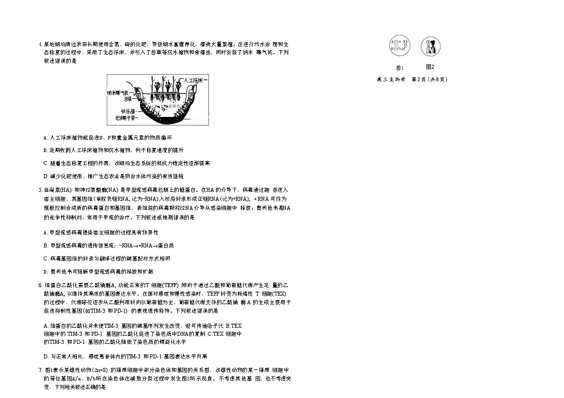 江西省部分高中2025-2026学年高三上学期1月联考生物试题第2页