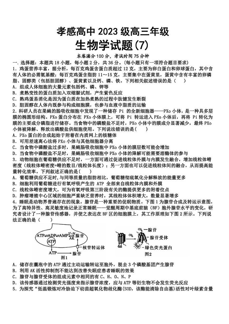 2025-2026学年湖北省孝感高级中学高三上学期测试（七）生物学试卷（有答案）第1页