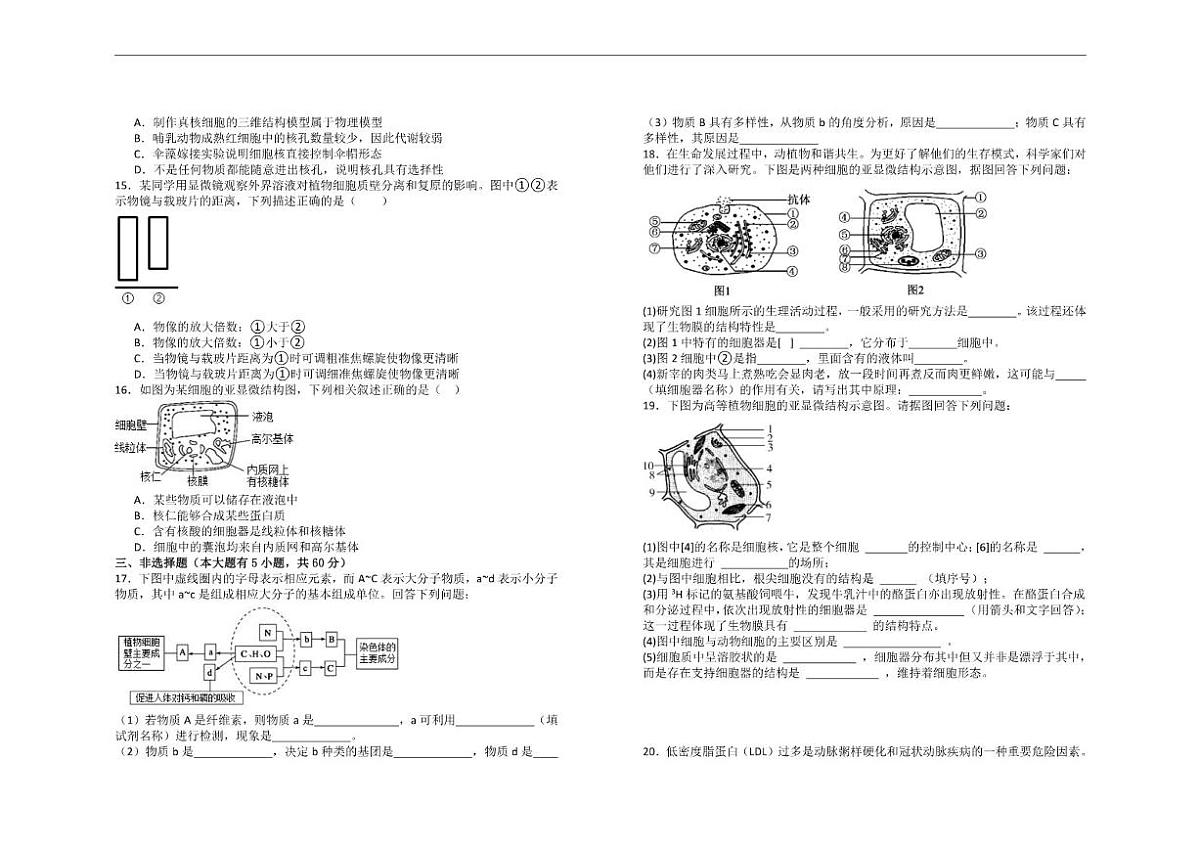 2025-2026学年江西省宜春市丰城市第九中学高三（复读班）上学期第二次段考生物试题（日新班）（有答案）第2页