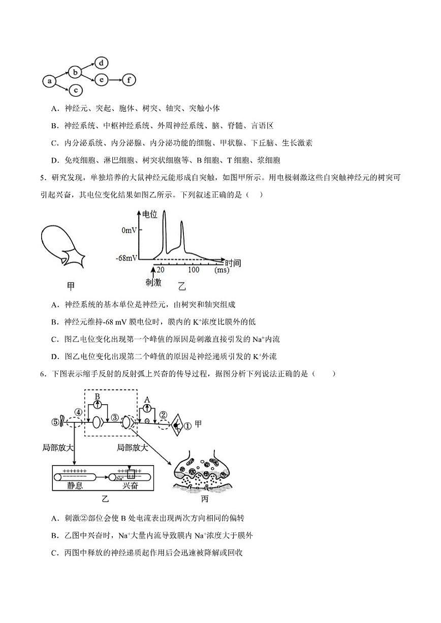 2025-2026学年黑龙江省哈尔滨市五常市雅臣中学高二上学期12月第一次月考生物试卷（有答案）第2页