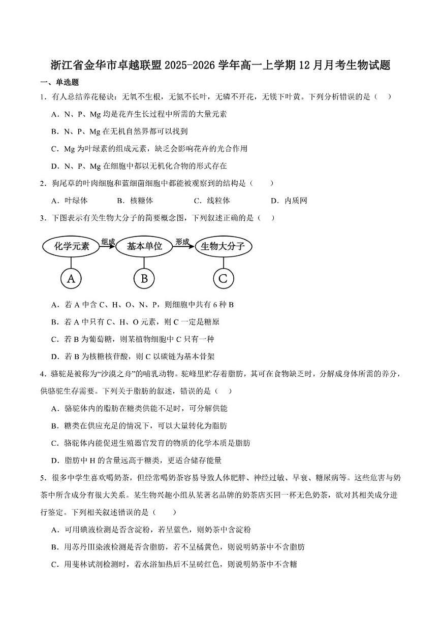 2025-2026学年浙江省金华市卓越联盟高一上学期12月阶段性联考生物试卷（有答案）第1页