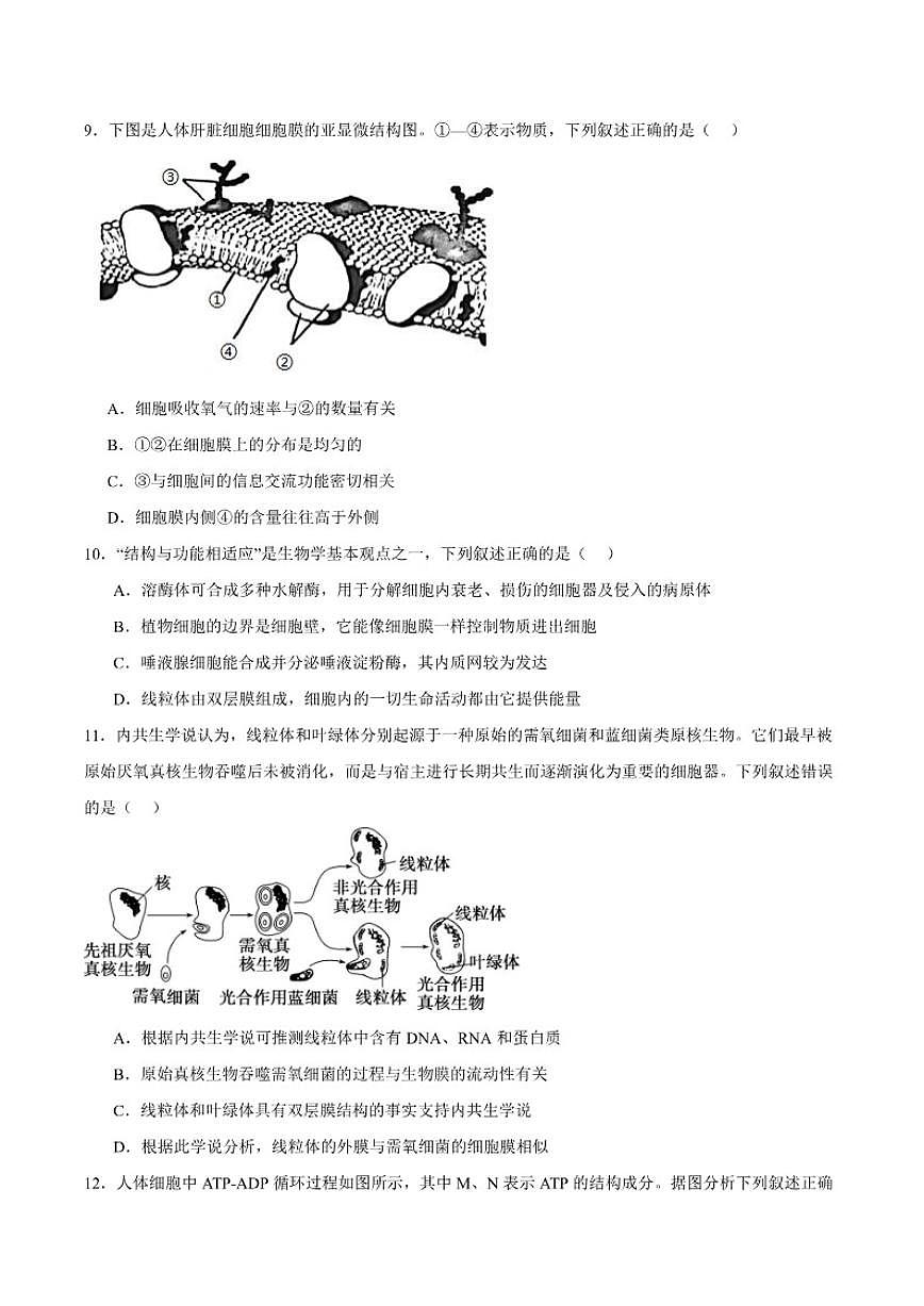 2025-2026学年浙江省金华市卓越联盟高一上学期12月阶段性联考生物试卷（有答案）第3页