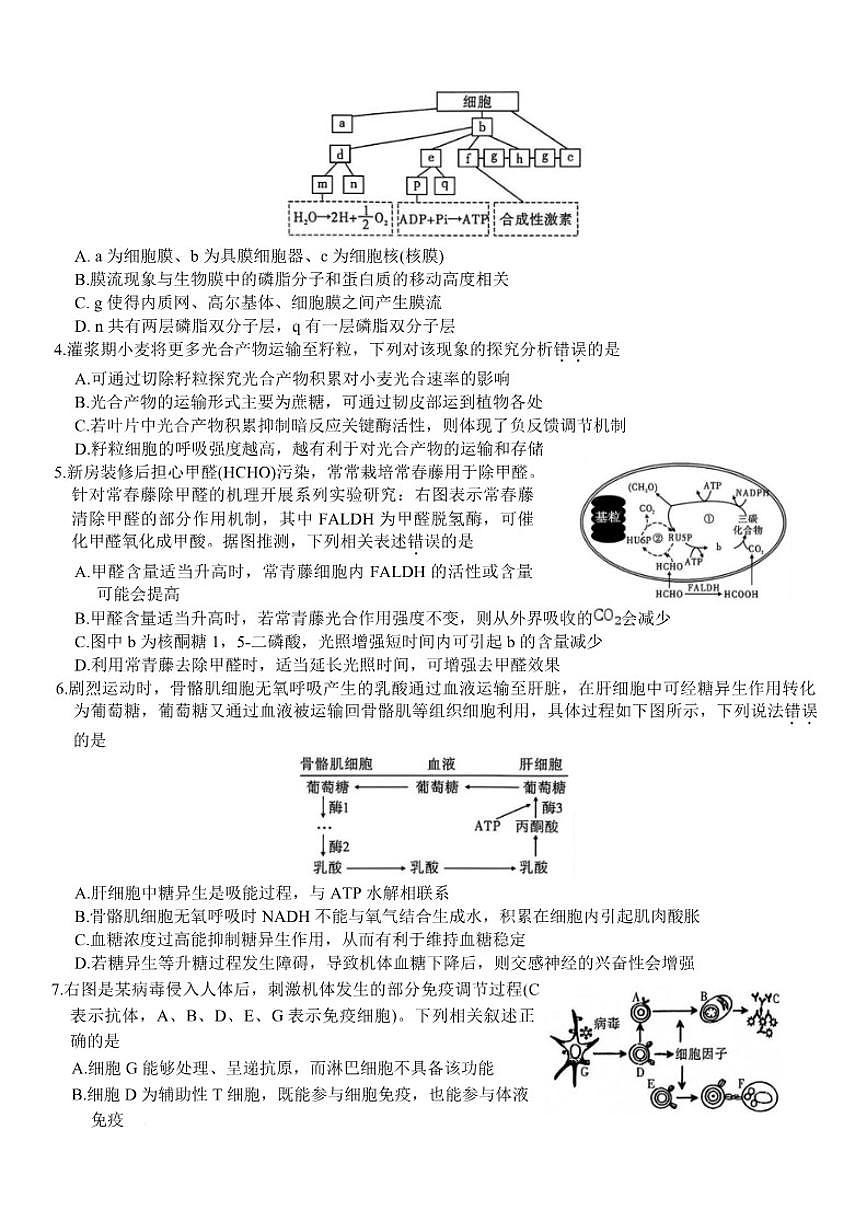 2026届重庆市南开中学高三上1月质量检测（五）生物试卷（有解析）第3页