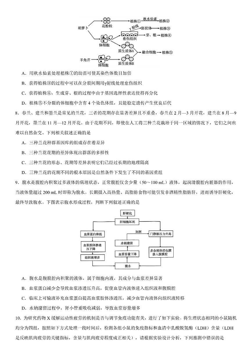 2025-2026学年湖北省荆州中学高三上学期12月月考生物试卷（有答案）第3页