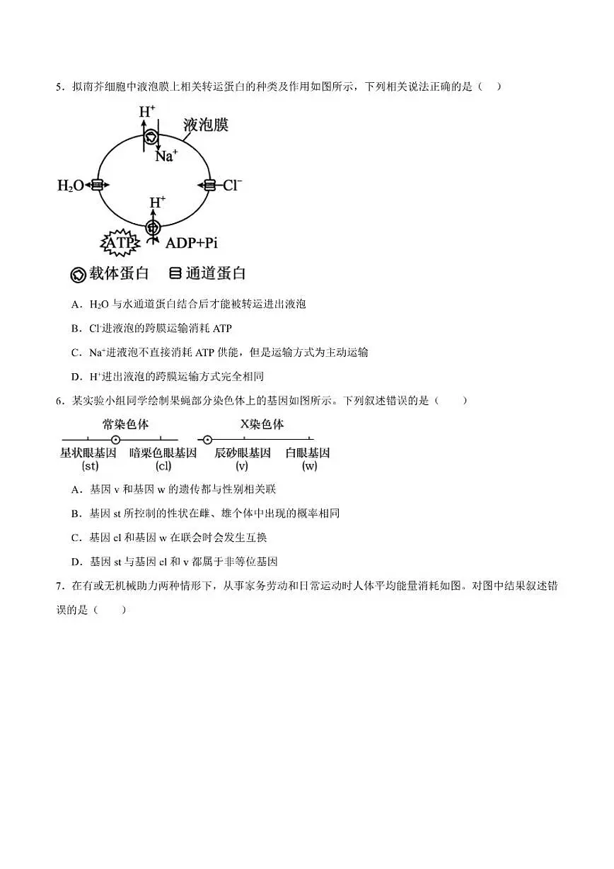 2026届福建省龙岩市三校高三上学期12月联考生物试卷（有答案）第2页