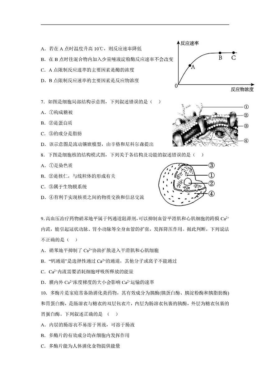 2025-2026学年四川省内江市第一中学高一上学期12月月考生物试题（有答案）第2页