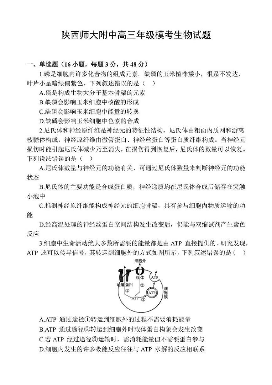 2026届陕西师范大学附属中学高三上学期一模考试生物试题（有答案）第1页