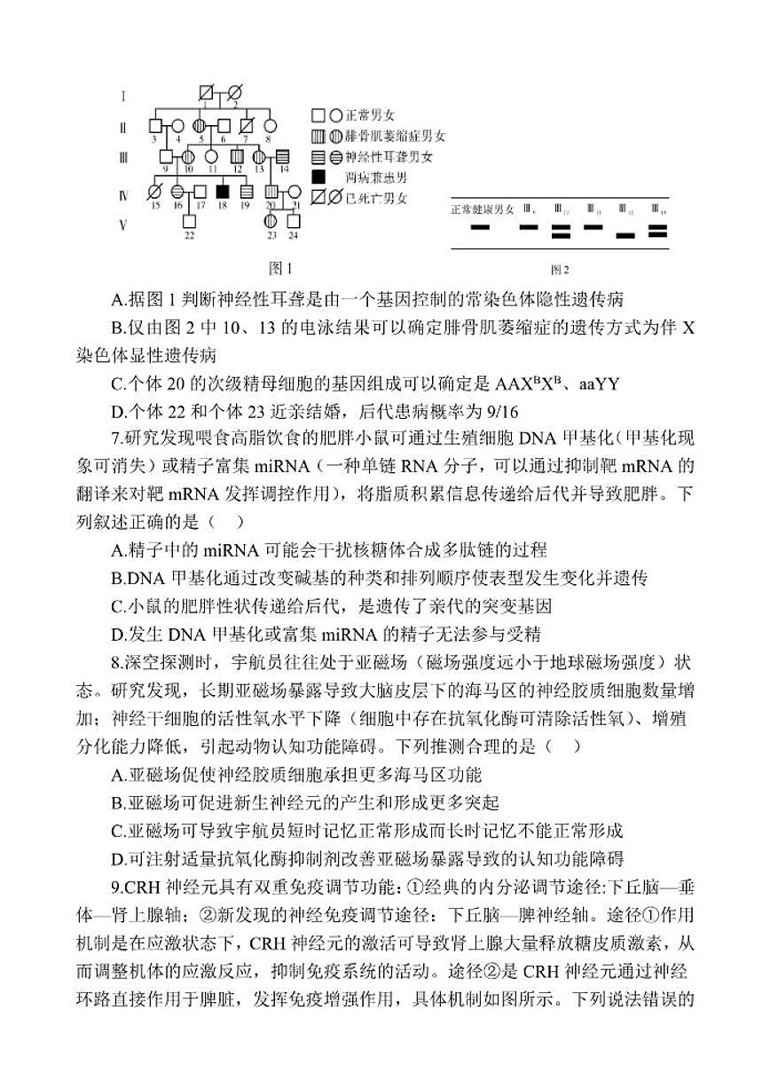 2026届陕西师范大学附属中学高三上学期一模考试生物试题（有答案）第3页