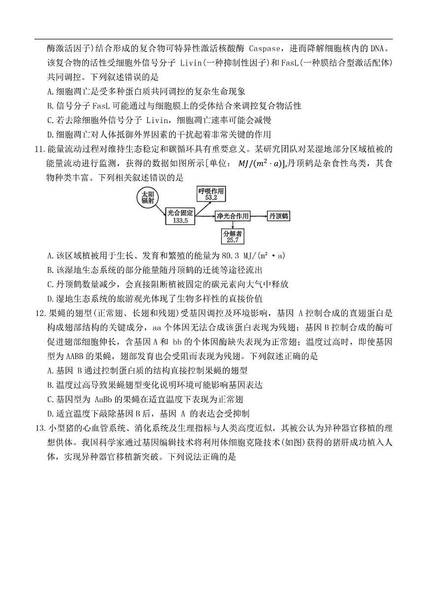 2026届河北省保定市唐县第一中学高三上学期一模生物试题（有答案）第3页