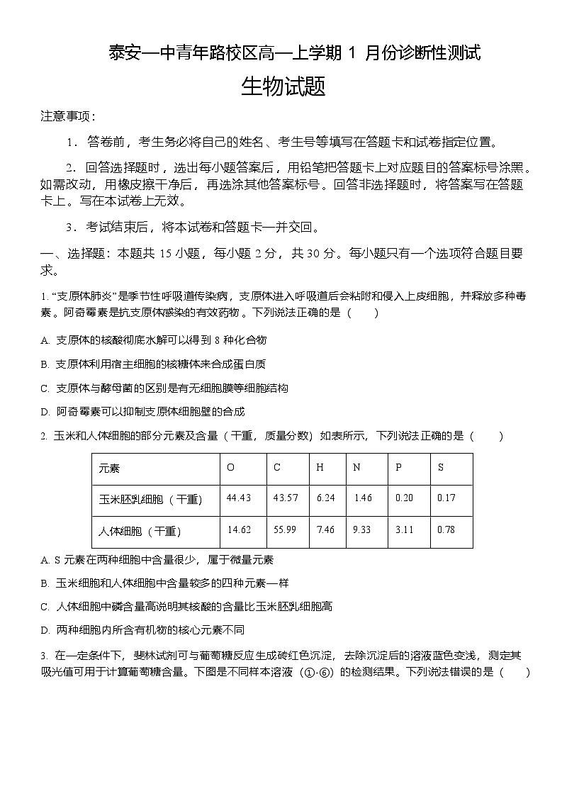 山东省泰安一中青年路校区2025-2026学年高一1月诊断性测试生物试题第1页