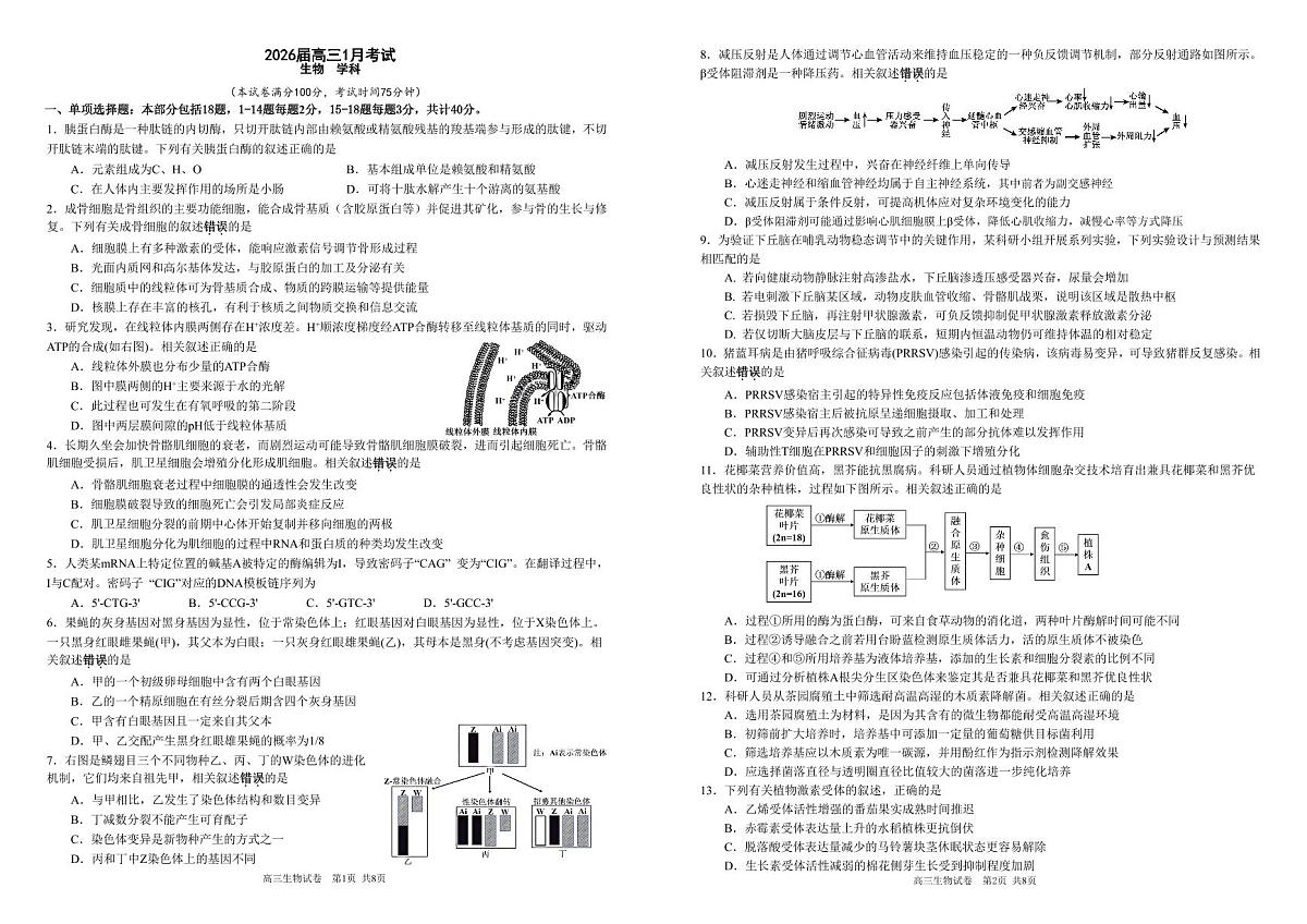 安徽省合肥一中2025-2026学年高三上学期1月考试 生物第1页