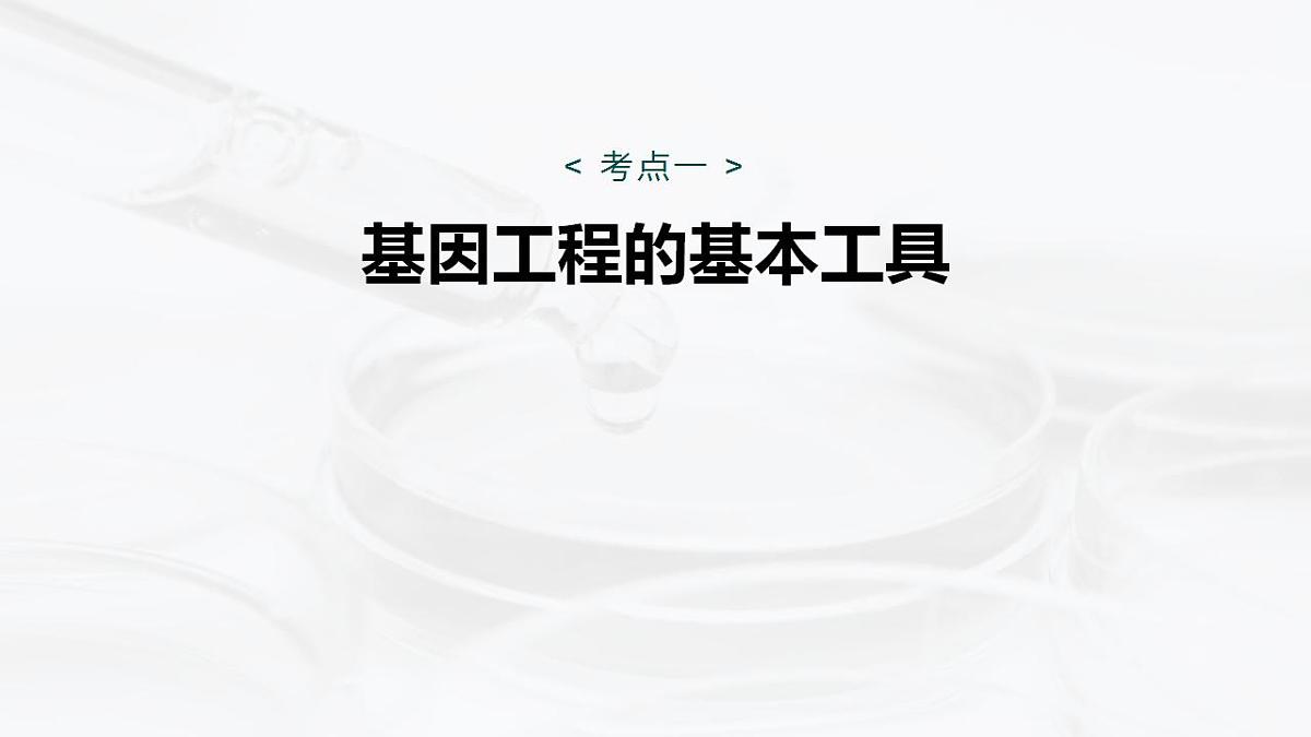 17827893第4页
