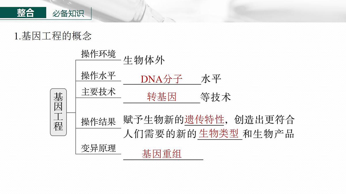 17827893第5页