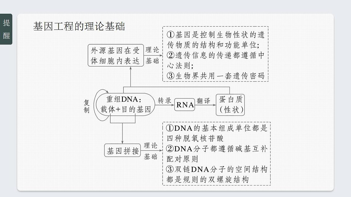 17827893第6页