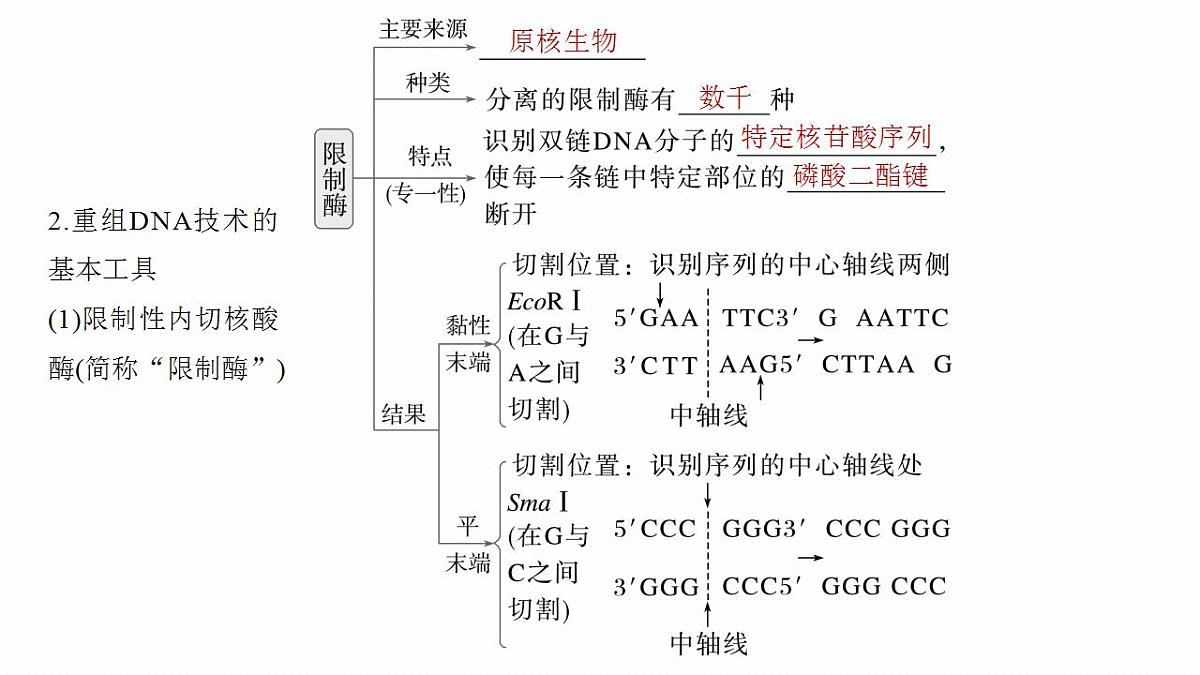 17827893第8页