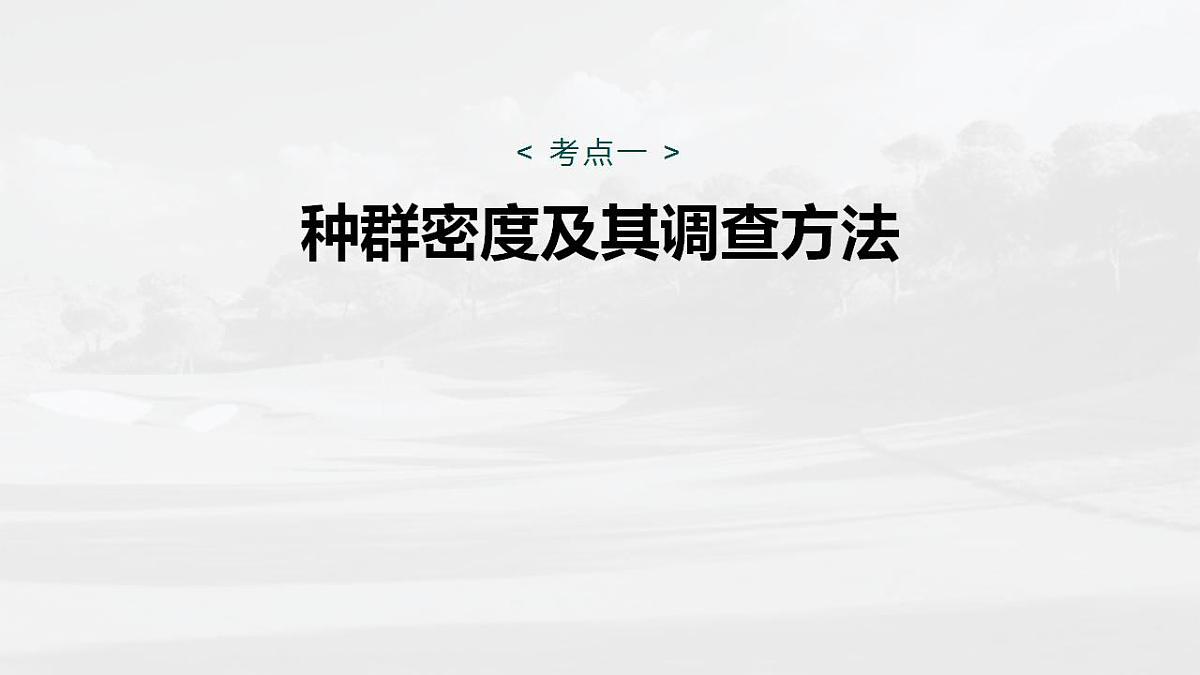 17828026第4页