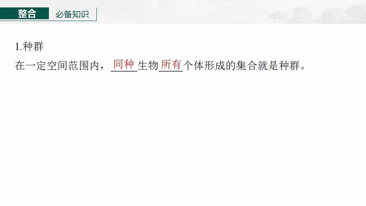 17828026第5页