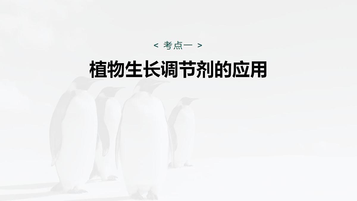 17828027第4页
