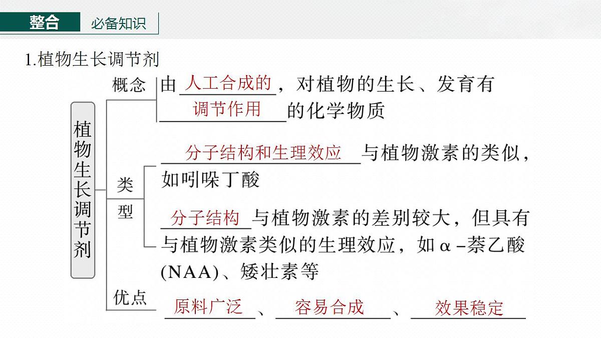 17828027第5页